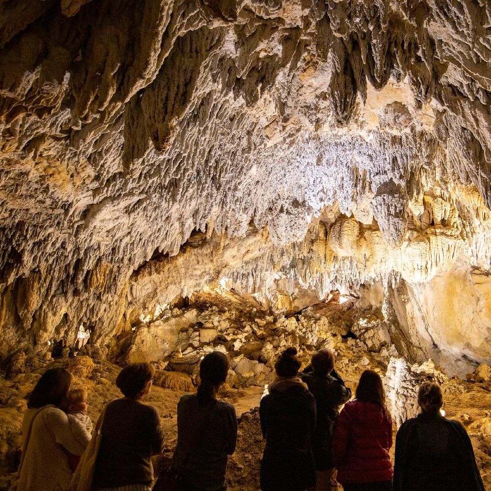 Group admiring the formations of the Cave of Urdazubi/Urdax